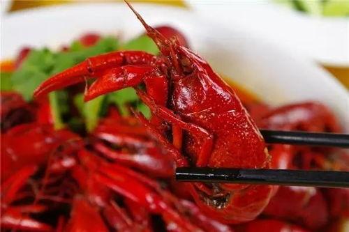 龙虾多多今日头条,揭秘龙虾美食新潮流