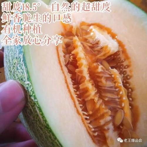 吃甜蜜瓜拉稀,揭秘甜蜜瓜引发拉稀的惊人真相