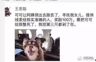八卦圈爆料黄二狗视频,黄二狗视频风波背后的真相