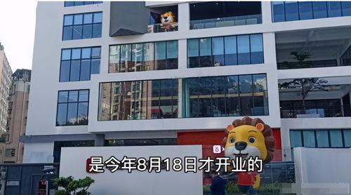 辛巴豪宅爆料视频播放,豪华程度令人咋舌，视频播放引发热议