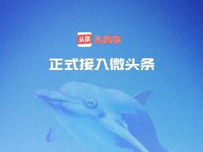 微头条粉丝可以看到吗,能否被他人窥视？