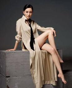 美腿中国女明星,盘点中国娱乐圈的性感女神