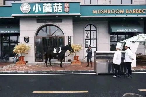 哈尔滨南区今日头条,聚焦区域发展，共话美好未来