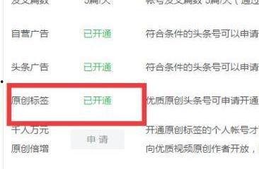 头条号有没有提示更新,掌握最新动态，解锁精彩内容！