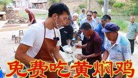 网红迷你小鲤鱼,萌动万千网友的“水族明星”