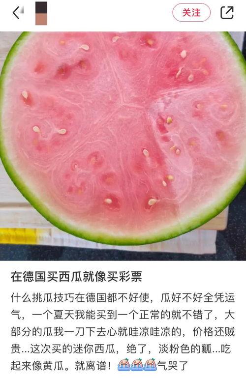 全网免费吃瓜贴吧,揭秘热门事件背后的真相