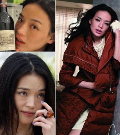 公家颜女明星,美貌与才华并存的璀璨之星