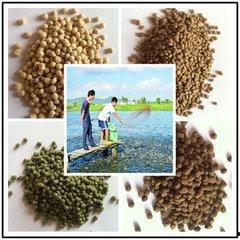 颗粒料钓鱼看漂,精准捕捉鱼讯的秘密武器