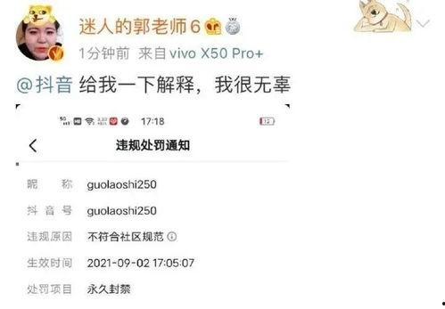 网红与老师证据分析,揭秘网络舆论背后的真相