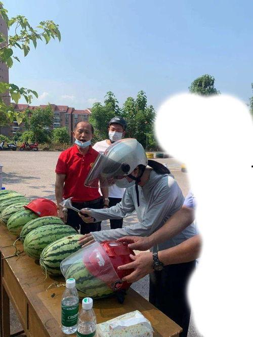 文水吃瓜事件,一场引发热议的网络狂欢