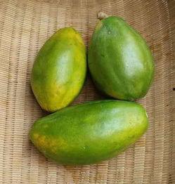 胃病吃方瓜营养,天然食疗新选择