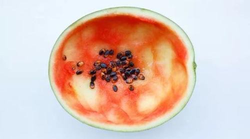 吃瓜勺子带盒,揭秘夏日消暑神器背后的故事