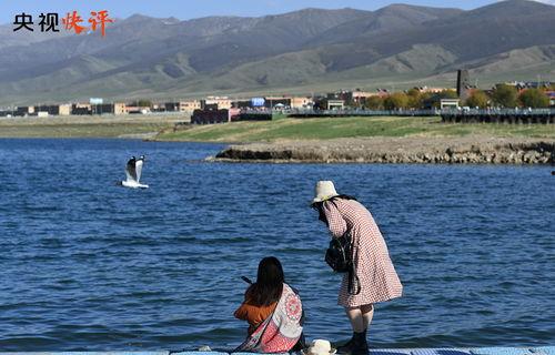 青湖网红,揭秘网络红人的魅力与影响力