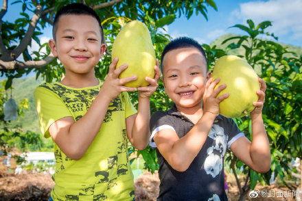 攀枝花吃瓜新闻报道,一场别开生面的“吃瓜”盛宴