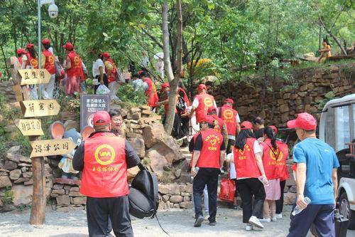 天津网红打卡烟泡树,烟泡树下的浪漫时光