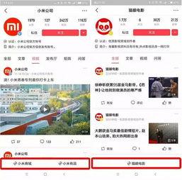 头条小程序套路,轻松吸粉、盈利的秘密武器！