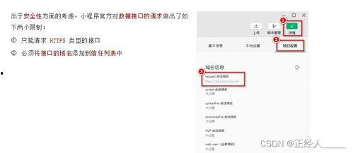 头条小程序编程语言设置,基于头条小程序的编程语言应用概述