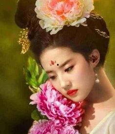 明星牡丹介绍资料