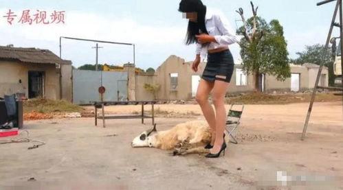 网红美女累成狗视频,高强度工作下的真实写照