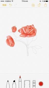 网红备忘录玫瑰画法