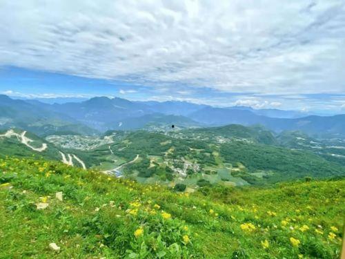 网红汉源,揭秘网络红人的魅力与影响力