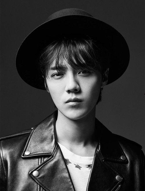 明星 CHB,闪耀星途，魅力无限