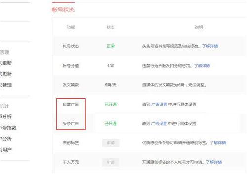 头条怎么实名发视频赚钱,头条实名发视频赚收益攻略