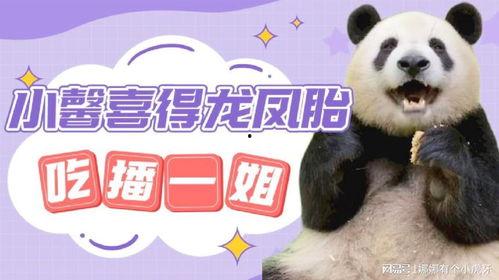 小黑马下播吃瓜,这瓜太新鲜了！