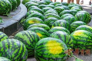 兰州大学疫情吃瓜,吃瓜群众视角下的校园风云