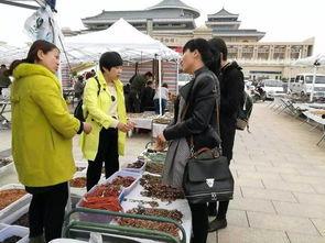 阿拉善展会爆料信息最新