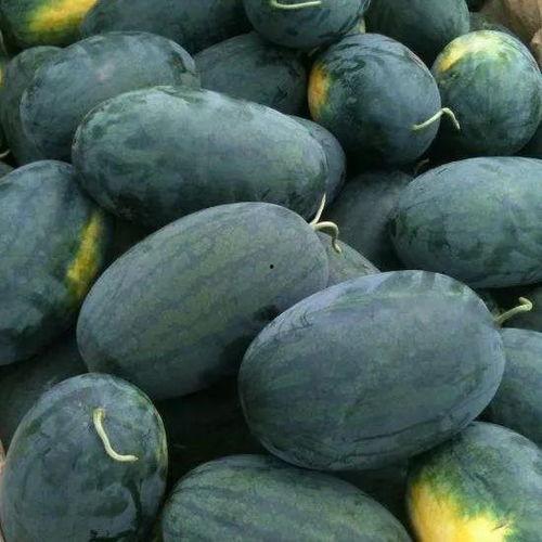 吃瓜产区,揭秘我国吃瓜产区的魅力与特色