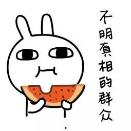 娱乐吃瓜酱用最大的恶意,吃瓜酱用最毒辣眼光剖析幕后真相