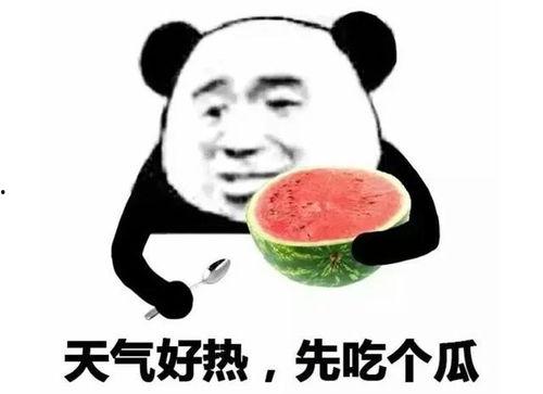 吃瓜表情表示什么,揭秘网络社交中的趣味与内涵